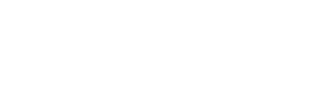 Constelation Global Services